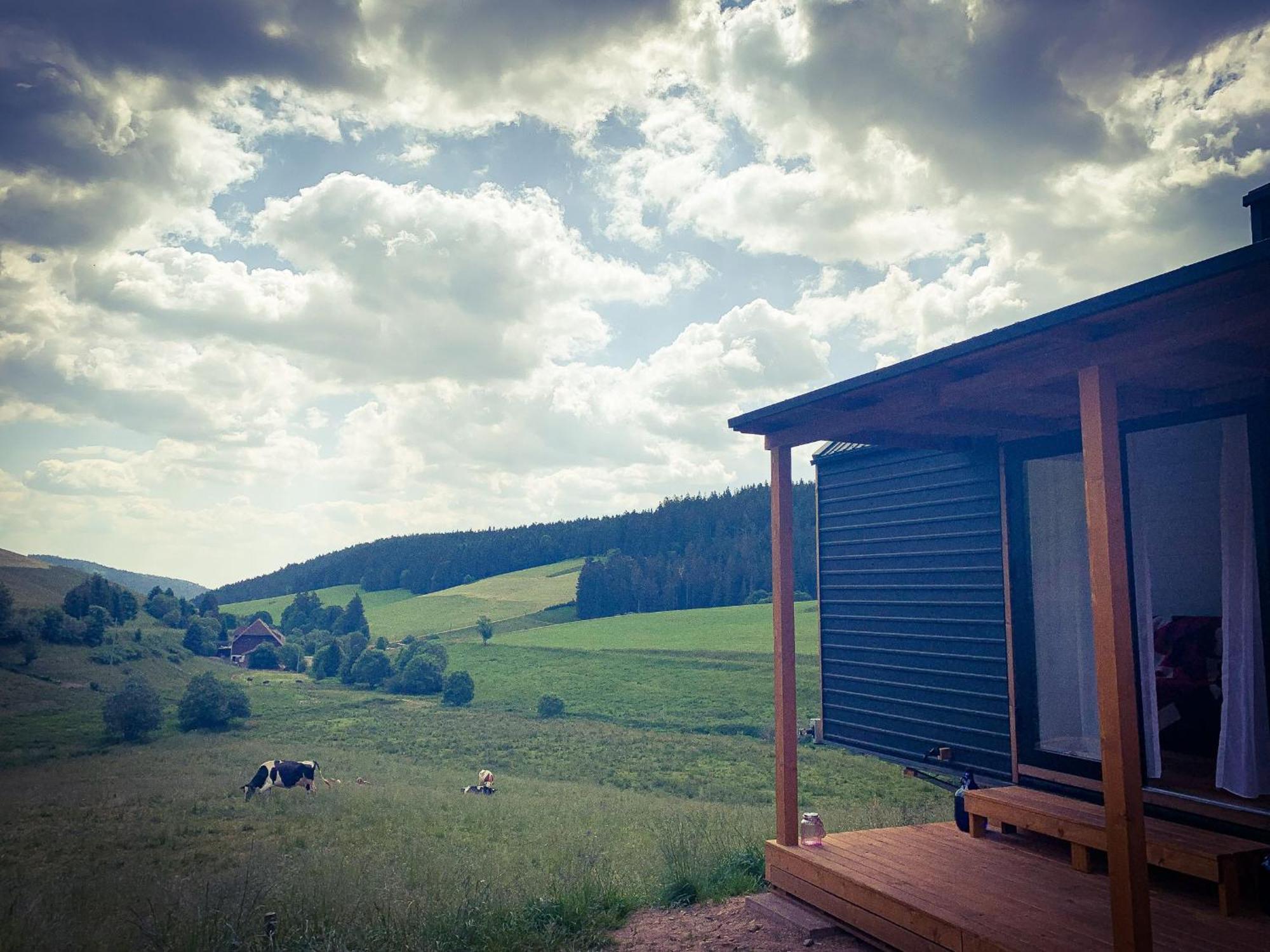 Zum Wilden Michel Apartment Linach Екстериор снимка